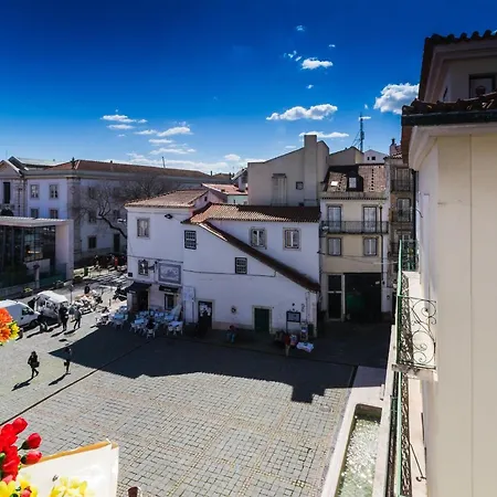 House Petit Lusa-3